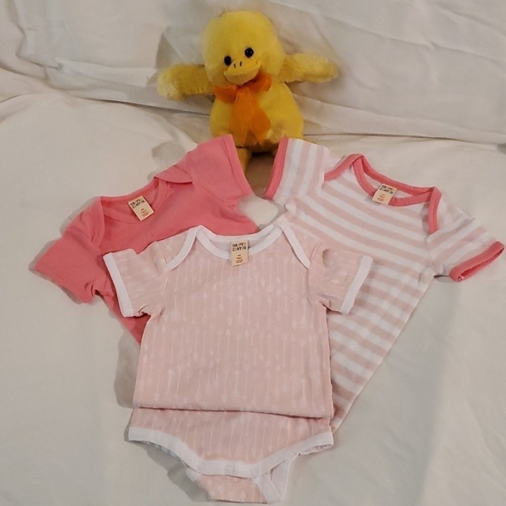 onesie bundle 9mos Harper Canyon Pink